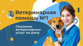 Выездная ветеринарная служба ЗООВЕТ-Дом фото 2