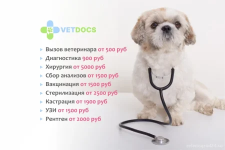 Ветеринарная клиника Vetdocs фото 1