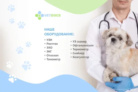Ветеринарная клиника Vetdocs фото 4