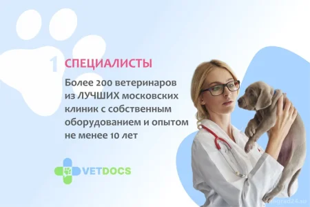 Ветеринарная клиника Vetdocs фото 12