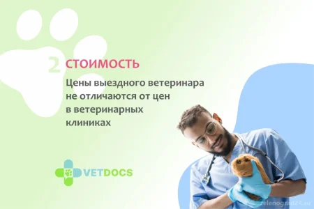 Ветеринарная клиника Vetdocs фото 5