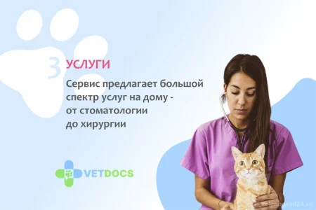 Ветеринарная клиника Vetdocs фото 6