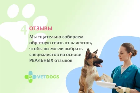 Ветеринарная клиника Vetdocs фото 11