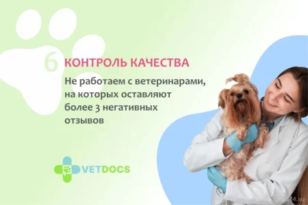 Ветеринарная клиника Vetdocs фото 10