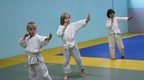 Школа айкидо для детей и взрослых Aikido OldSchool на Озёрной улице фото 2