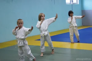 Школа айкидо для детей и взрослых Aikido OldSchool фото 2