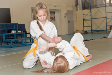 Школа айкидо для детей и взрослых Aikido OldSchool на Озёрной улице фото 3
